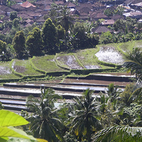 Photo de Bali - Banjar et Gitgit